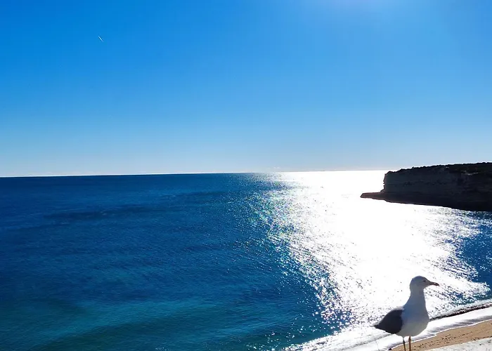 8 1 Figueirinhas - Casas & Papeis Διαμέρισμα