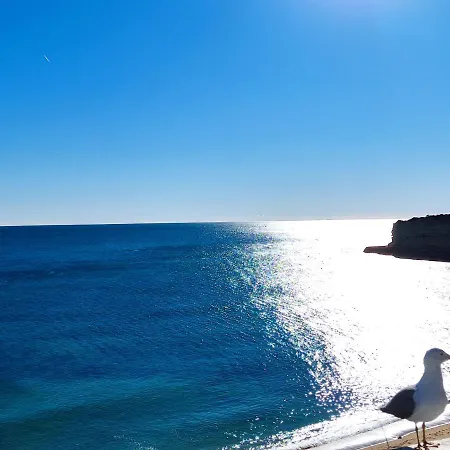 8 1 Figueirinhas - Casas & Papeis Apartment